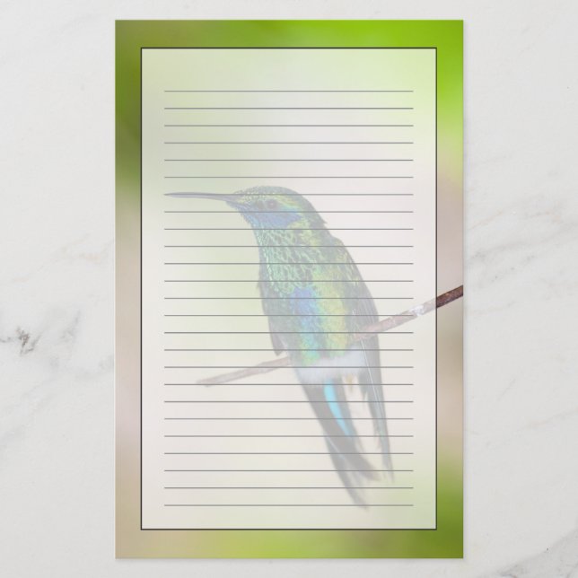 Green Violet-ear Hummingbird Stationery (Front)