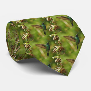 Green Violet-ears Hummingbird Men's Tie