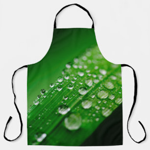 Green water leaf dew nature grass apron