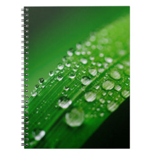 Green water leaf dew nature grass notebook