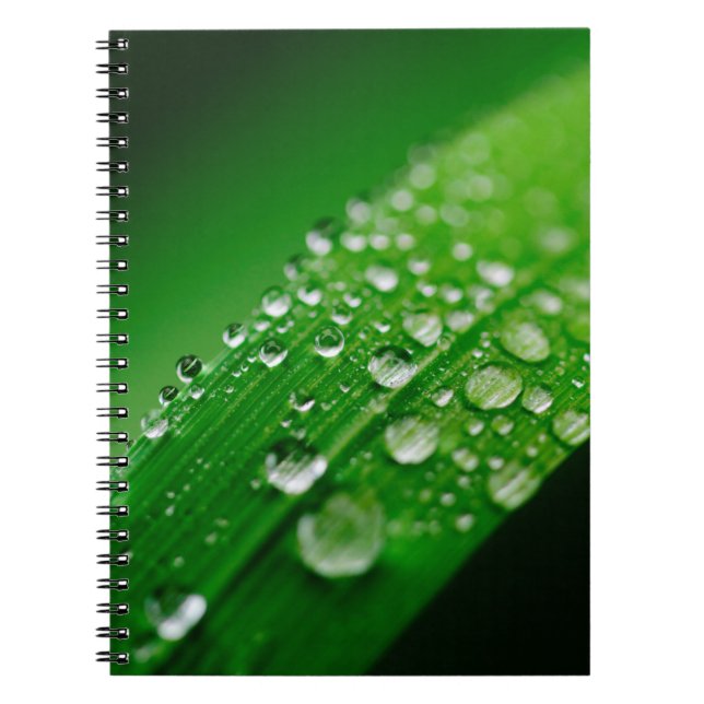 Green water leaf dew nature grass notebook (Front)