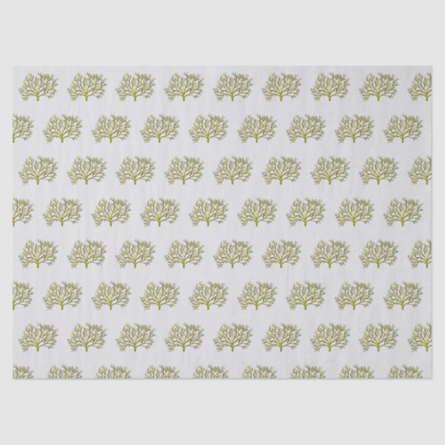 Green watercolor coral tree tissue paper (Front)