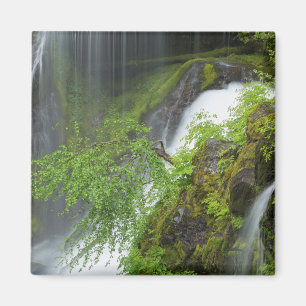 Green Waterfall Scenic Magnet