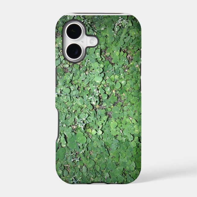Green Weeds (Back)