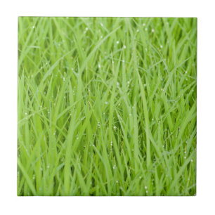 Green wet grass design tile