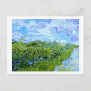 Green Wheat Fields Van Gogh Fine Art Postcard