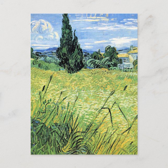 Green Wheatfield with Cypress, Postcard (Front)