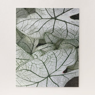 Green White Caladium Leaves Jigsaw Puzzle
