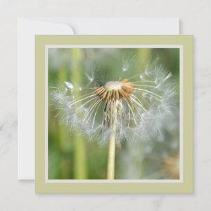 Green White Dandelion Flowers Baby Shower Invitation