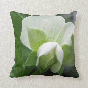Green & White Pillow ~ original high res photo