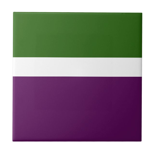 Green White Purple Plain Colour Block Design  Tile (Front)