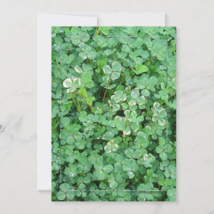 Green White Shamrocks Custom Invitations