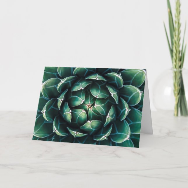 Green & White Succulent Card (Front)