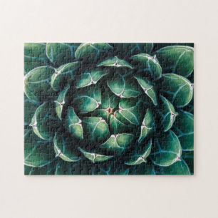 Green & White Succulent Jigsaw Puzzle