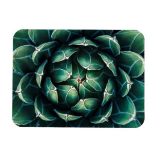 Green & White Succulent Magnet
