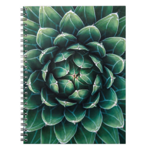 Green & White Succulent Notebook