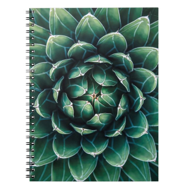 Green & White Succulent Notebook (Front)