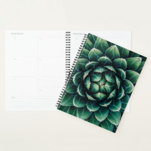 Green & White Succulent Planner