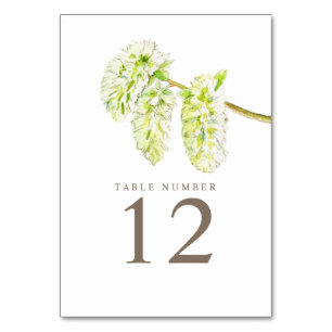 Green willow catkins watercolor art table numbers