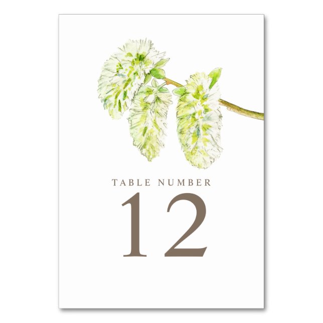 Green willow catkins watercolor art table numbers (Front)