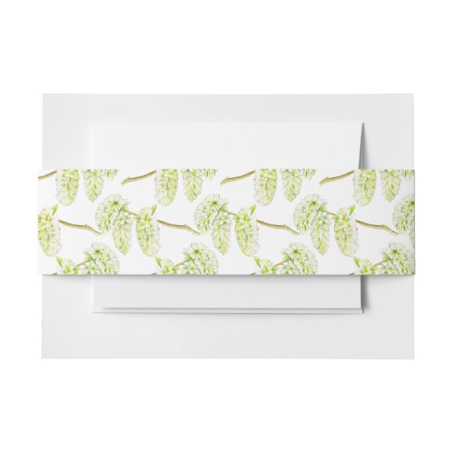 Green willow spring catkins watercolor  invitation belly band (Front Example)