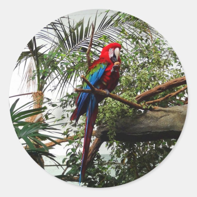 Green-winged Macaw #4 Stickers (Front)