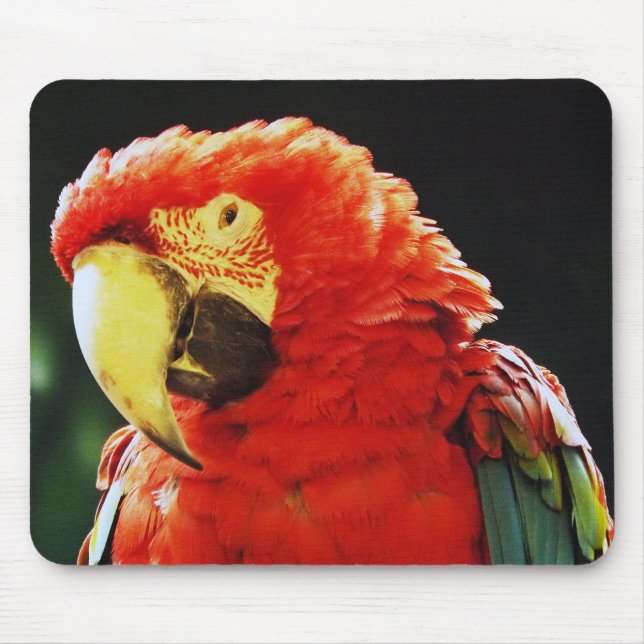 Green Winged Macaw Parrot Bird Close-Up Mouse Mat (Front)