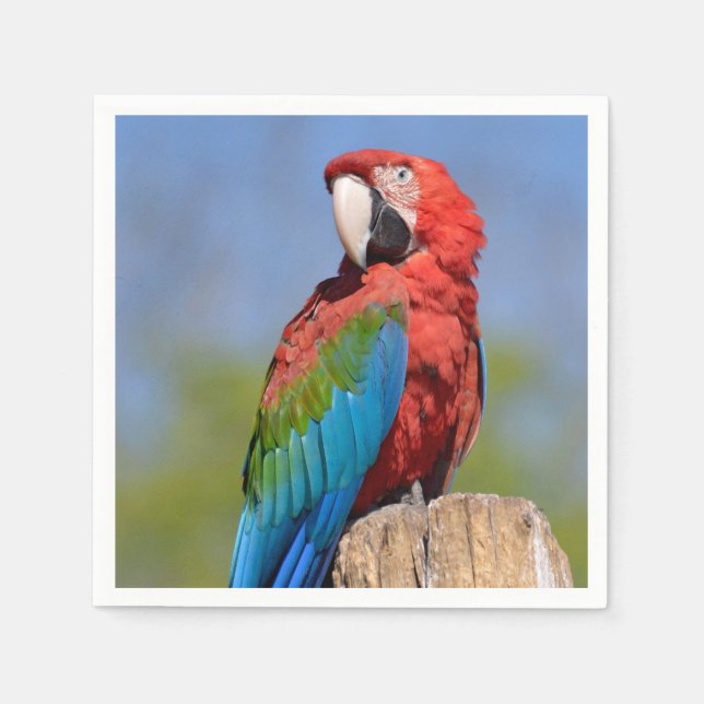 Green-winged macaw perched napkin (Front)