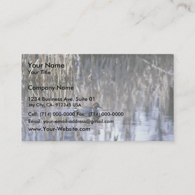Green-winged Teal Business Card (Front)