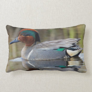Green-winged Teal Lumbar Cushion