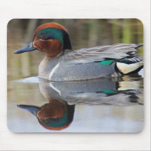 Green-winged Teal Mouse Mat