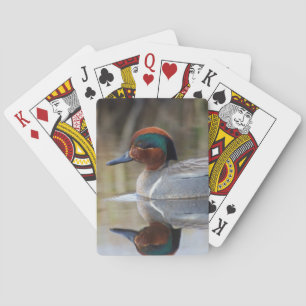 Green-winged Teal Playing Cards