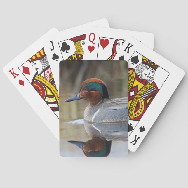 Green-winged Teal Playing Cards (Back)