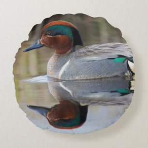 Green-winged Teal Round Cushion