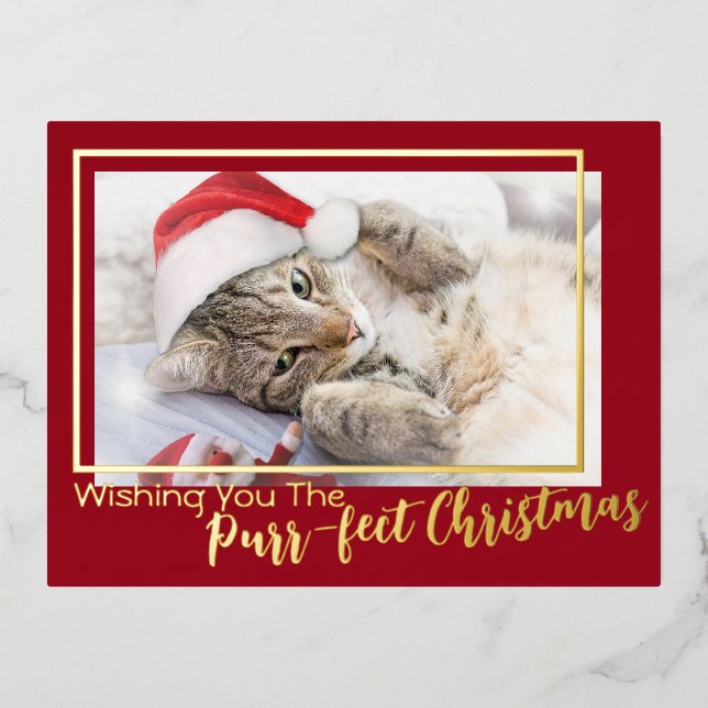 Green Wishing You The Purr-fect Christmas 2 Photo Foil Holiday Postcard (Front)