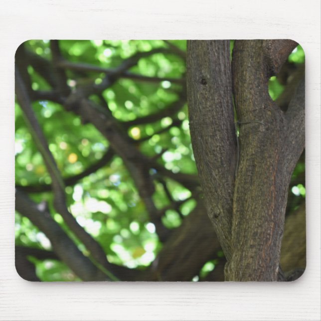 Green Wisteria Pergola Tree Nature Photography Mouse Mat (Front)