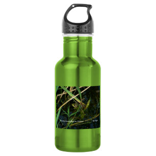 (Green) with mimetic frog 532 Ml Water Bottle