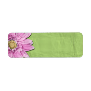 Green with Pink Daisy Blank Labels