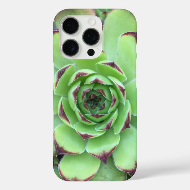 Green with Purple Tips Succulent Close-Up Photo Case-Mate iPhone Case (Back)