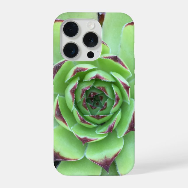 Green with Purple Tips Succulent Close-Up Photo iPhone Case (Back)