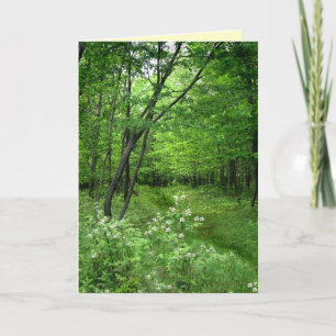 Green Woodland Path Birthday Card
