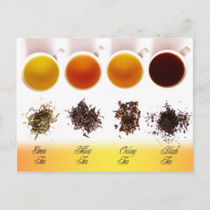 Green, Yellow, Oolong, and Black Tea Postcard
