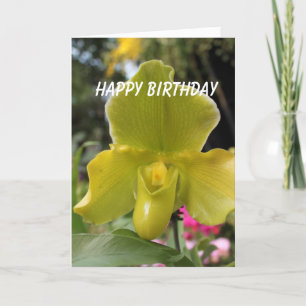 green yellow orchid flowers happy birthday card