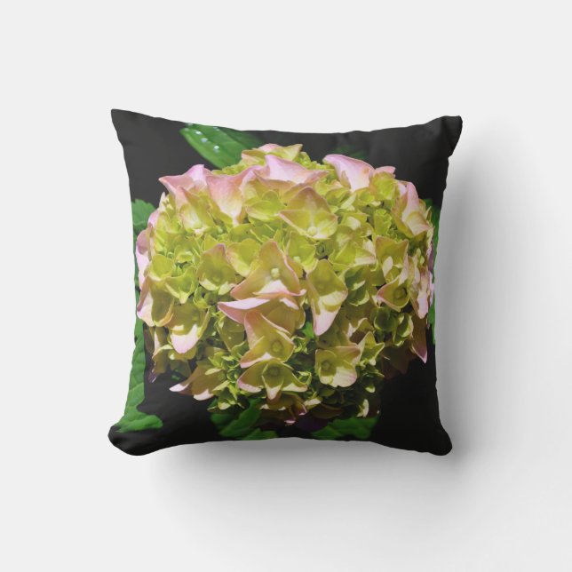 Green yellow pink Hydrangea pink yellow flower Cushion (Front)
