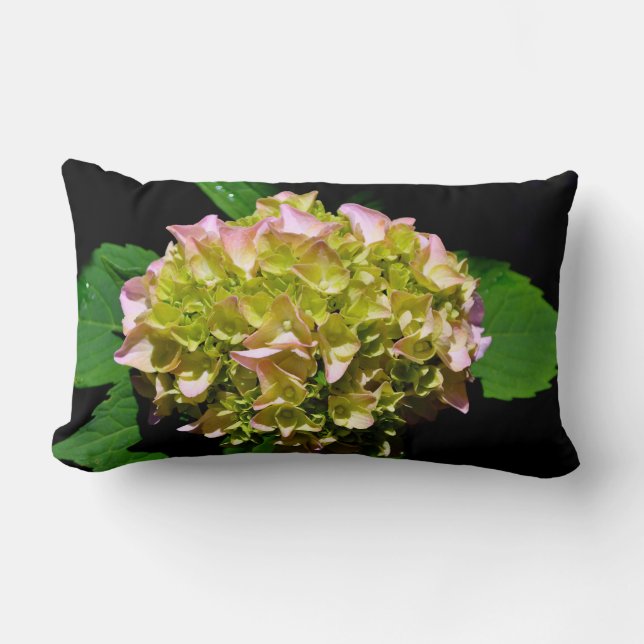 Green yellow pink Hydrangea pink yellow flower Lumbar Cushion (Front)