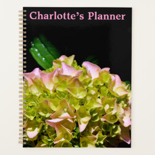 Green yellow pink Hydrangea pink yellow flower Planner