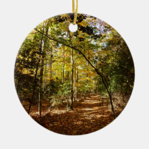 Greenbelt Park in Fall I Maryland Landscape Ceramic Tree Decoration