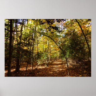 Greenbelt Park in Fall I Maryland Landscape Poster