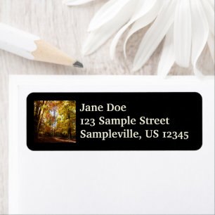 Greenbelt Park in Fall II Maryland Nature Scene