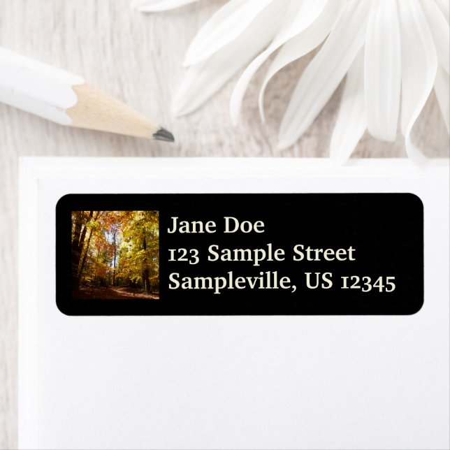 Greenbelt Park in Fall II Maryland Nature Scene (Insitu)